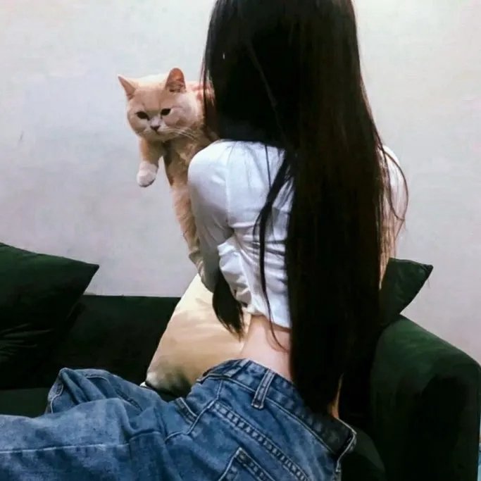 综艺纪录